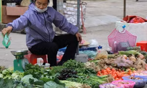 CPI tháng Hai tăng 0,45% do giá xăng dầu và thuê nhà tăng cao