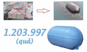 1.203.997 - là số quả phao xốp cần chuyển đổi sang phao nhựa ở Quảng Ninh