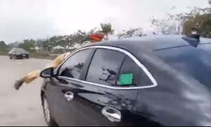 Tài xế "chở" cảnh sát trên nắp capô hơn 2km rồi gây tai nạn giao thông