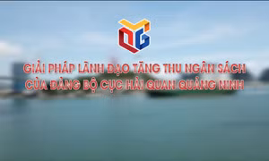 Giải pháp lãnh đạo tăng thu ngân sách của Đảng bộ Cục Hải quan Quảng Ninh