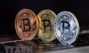IMF cảnh báo El Salvador về rủi ro khi sử dụng tiền điện tử bitcoin