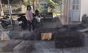 Phát hiện vụ mua bán, tàng trữ trái phép động vật hoang dã quy mô lớn