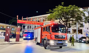 Xuân mới bình yên