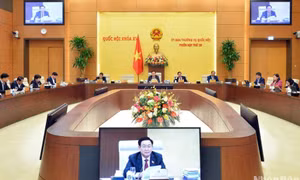 Tạo cơ sở pháp lý cho việc xử phạt hành vi vi phạm pháp luật trong lĩnh vực kiểm toán nhà nước