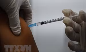 EU hướng đến chiến lược tiêm vaccine COVID-19 thường niên