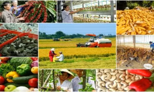Huy động mọi nguồn lực xã hội tham gia xây dựng nông thôn mới