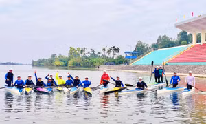 Chuyện đằng sau những tay chèo "vàng"