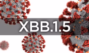 Làm thế nào để biết bạn nhiễm biến thể XBB, XBB.1.5 hay BA.5?
