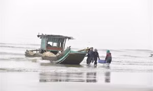Chủ động ứng phó với sóng cao, gió Đông Bắc giật mạnh trên biển
