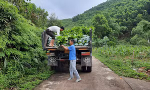 Xã Yên Than: Điểm sáng trong học và làm theo Bác