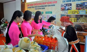 Ban hành Bộ tiêu chí và quy trình đánh giá, phân hạng sản phẩm Chương trình mỗi xã một sản phẩm