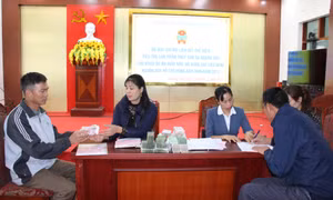 Quảng Yên: Giải ngân 1 tỷ đồng triển khai mô hình chuyển đổi vật liệu nổi quy chuẩn