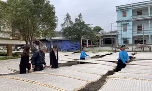 Hiệu quả vốn tín dụng cho tam nông