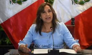 Tổng thống Peru kêu gọi đối thoại cả nước để giải quyết khủng hoảng chính trị
