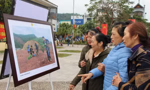 Ba Chẽ chăm lo Tết cho người dân
