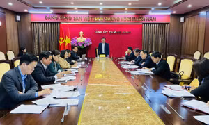 Họp thống nhất chương trình kiểm tra việc thực hiện các nghị quyết của BCH Đảng bộ tỉnh