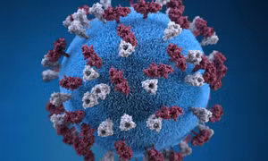 Virus sởi đột biến có thể gây bệnh viêm não