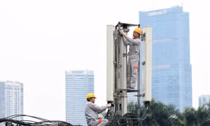 Mở rộng cáp đất liền, chia sẻ băng thông để chống nghẽn Internet giờ cao điểm