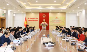 Đoàn giám sát của Quốc hội thực hiện công tác giám sát tại Quảng Ninh