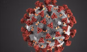 Nga phát triển xét nghiệm đồng thời phát hiện 8 loại virus hô hấp cấp tính
