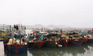 "Mở biển" đầu năm