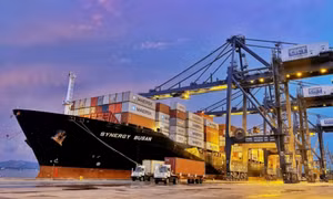 Hãng tàu vận tải container lớn nhất thế giới chính thức mở tuyến cố định tới Cảng container quốc tế Cái Lân