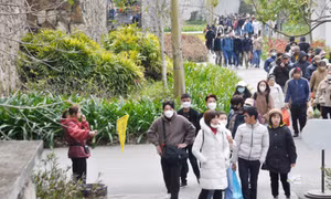 Tăng cường quản lý các di tích và lễ hội đầu xuân
