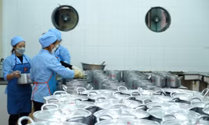 Tiếp tục đảm bảo vệ sinh an toàn thực phẩm trong trường học