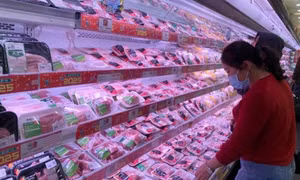 Giá lợn hơi toàn quốc sụt giảm cận Tết