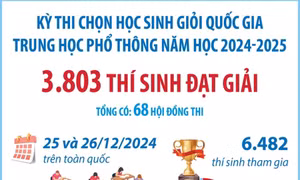 Kết quả kỳ thi chọn học sinh giỏi quốc gia THPT năm học 2024-2025