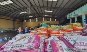 Cặp vợ chồng doanh nhân sản xuất hàng nghìn tấn phân bón giả