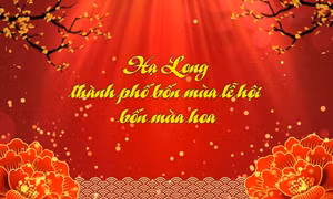Hạ Long - Thành phố bốn mùa lễ hội, bốn mùa hoa