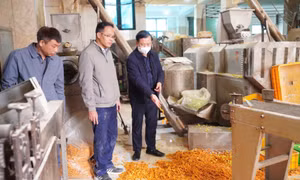 Rùng mình với xưởng sản xuất bim bim ở Hà Nội: Bim bim đổ dưới sàn nhà, chuột chết bốc mùi