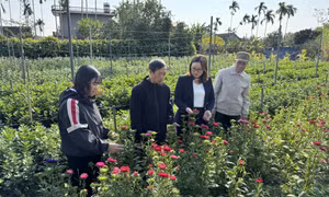 Phát huy vai trò của các đoàn thể trong xây dựng NTM
