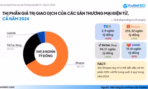 Năm 2024 người dùng thích mua sắm online trên sàn thương mại điện tử nào nhất?