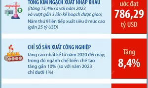 Việt Nam xuất siêu năm thứ 9 liên tục, mức thặng dư gần 25 tỷ USD