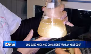Ứng dụng khoa học công nghệ vào sản xuất OCOP