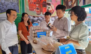 Xứng đáng là điểm tựa tin cậy của nông dân