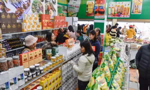 Khai trương cửa hàng giới thiệu, tiêu thụ nông sản sạch