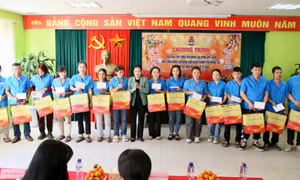 Bản tin Quảng Ninh ngày 12/1/2025