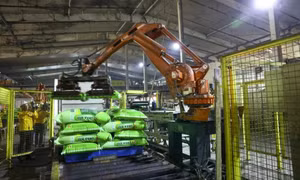 Xuất khẩu phân bón Việt Nam thu về hơn 700 triệu USD