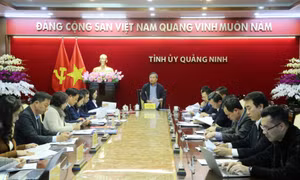Giao ban Thường trực Tỉnh ủy