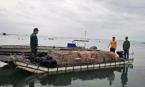 Tăng cường xử lý vi phạm trong kinh doanh gia súc, gia cầm