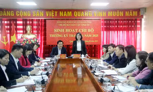 Đồng chí Phó Bí thư Thường trực Tỉnh ủy dự sinh hoạt chi bộ tại Chi bộ Ban Dân vận Tỉnh ủy