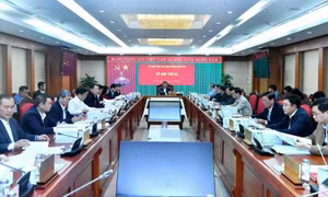 Bộ Chính trị, Ban Bí thư xem xét, thi hành kỷ luật đảng viên