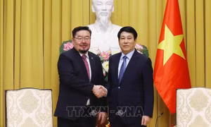 Chủ tịch nước Lương Cường tiếp Chánh Văn phòng Tổng thống Mông Cổ