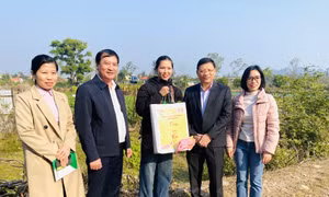 Lãnh đạo tỉnh kiểm tra các dự án vay vốn từ chương trình mục tiêu quốc gia