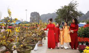 Nhộn nhịp chợ hoa xuân Hạ Long 