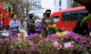 Nhộn nhịp chợ Tết ngày cuối năm