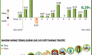 CPI tháng 12/2024 tăng 0,29%